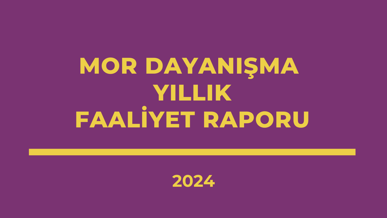 Mor Dayanışma 2024 Yılı Faaliyet Raporu - kapak